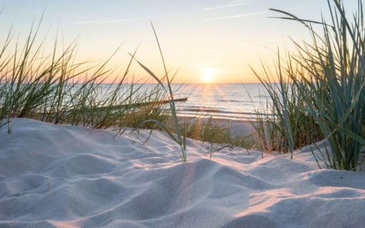 Wiosna w SiS Dziwnówek