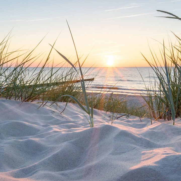 Wiosna w SiS Dziwnówek