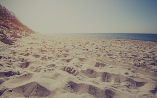 Promocja od 6 do 14 lutego – 20%